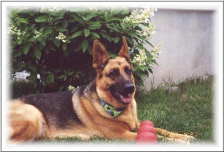 vito
